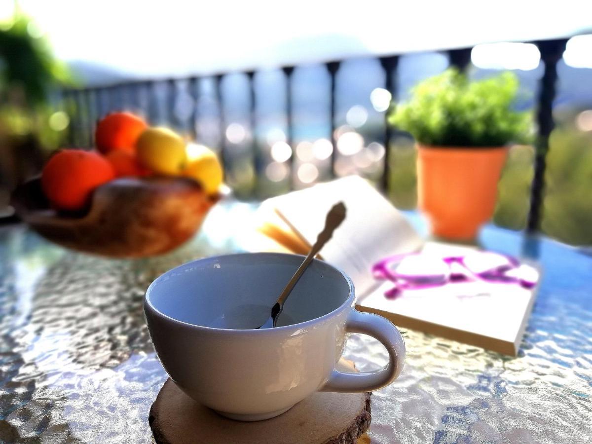 Apartment Tramuntana *